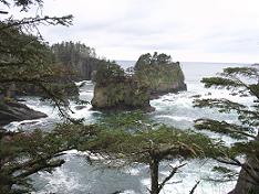 Cape Flattery Olympic NP 2012