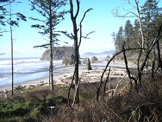 Ruby Beach Olympic NP 2012